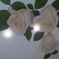 натяжные потолки с фотопечатью розы
